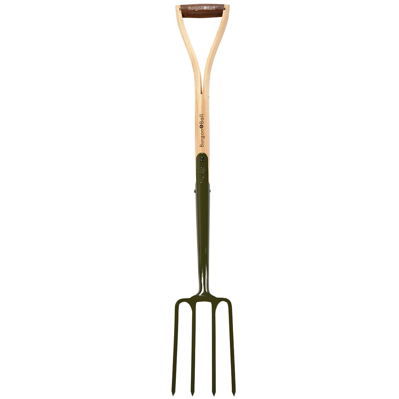 BoronGreen Border Fork - RHS Endorsed