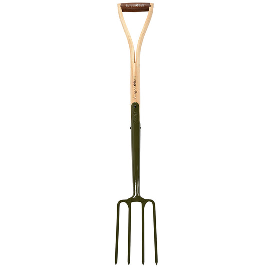 BoronGreen Border Fork - RHS Endorsed