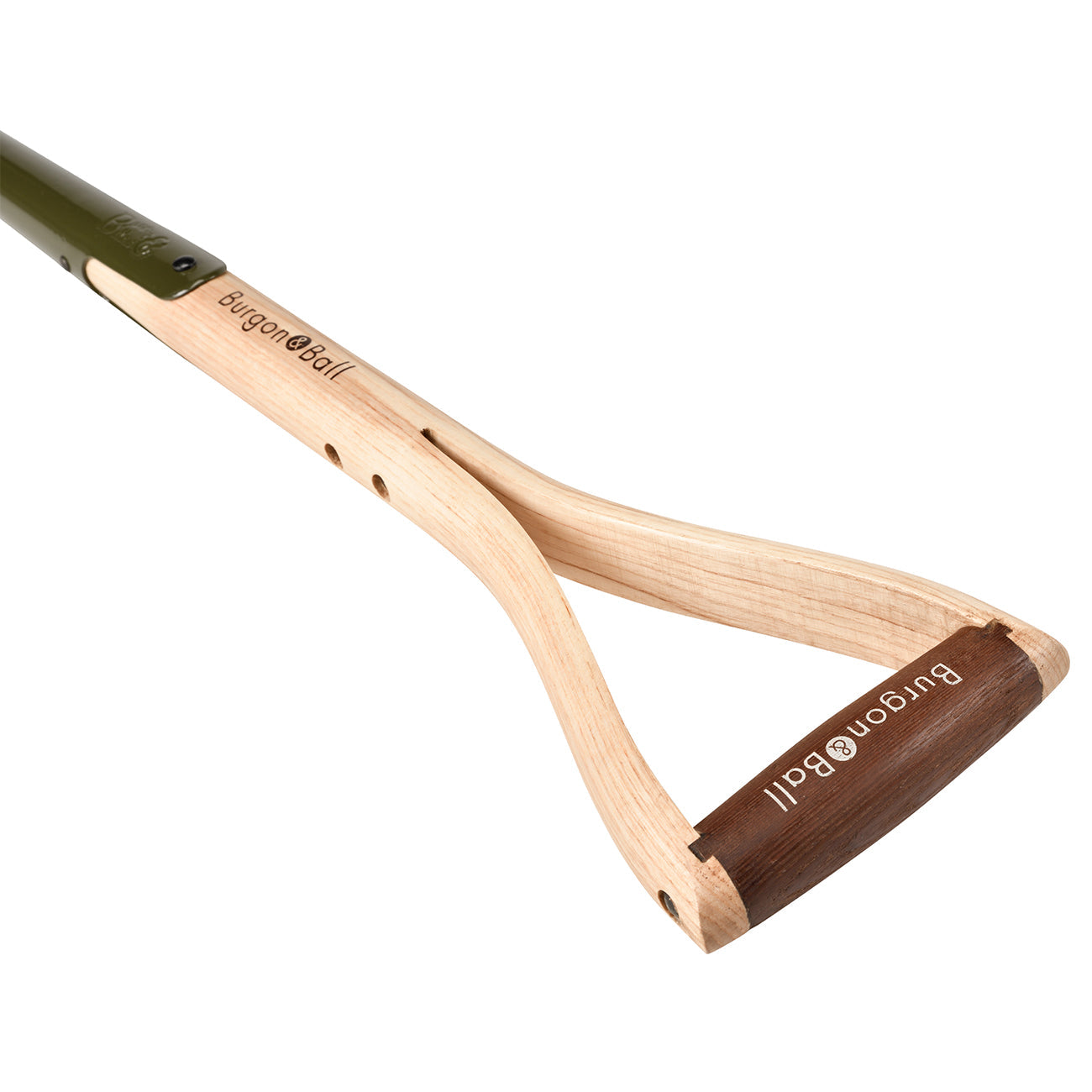 BoronGreen Border Fork - RHS Endorsed