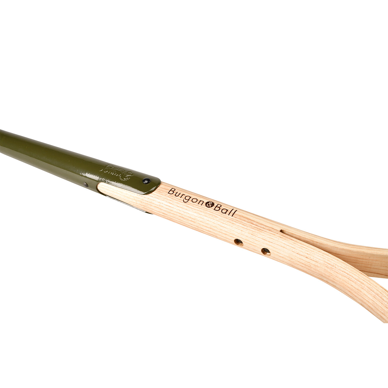 BoronGreen Border Fork - RHS Endorsed