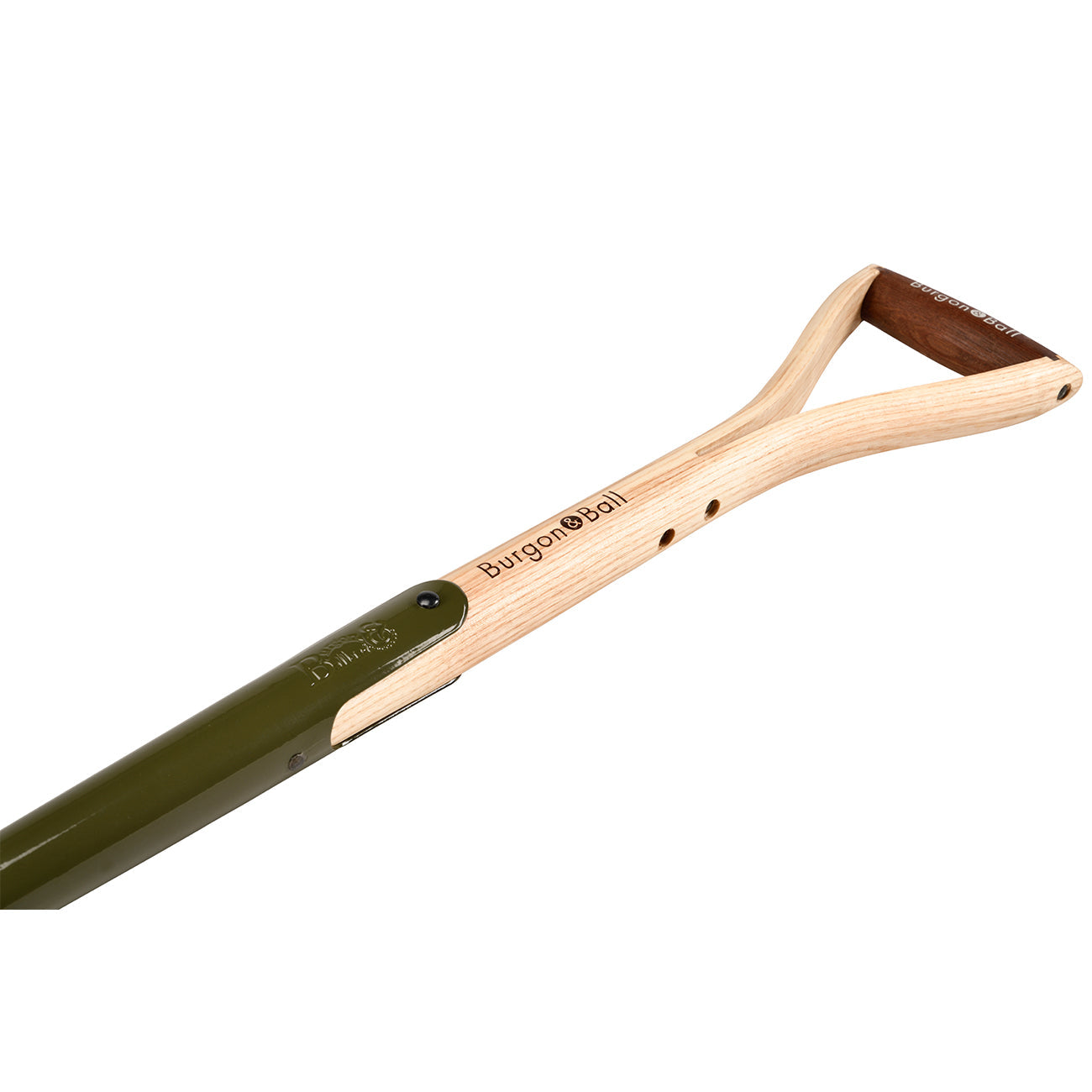 BoronGreen Border Fork - RHS Endorsed