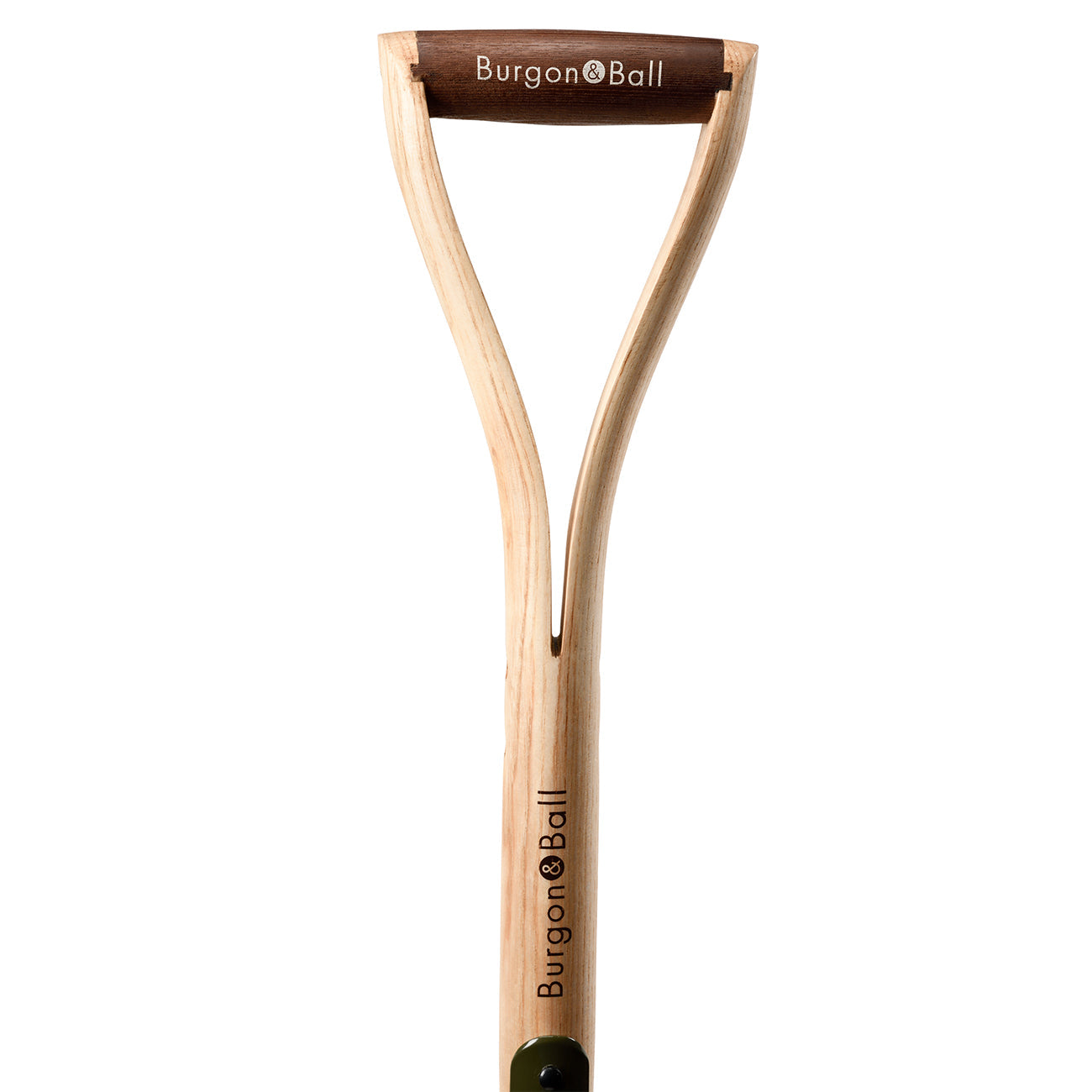 BoronGreen Border Fork - RHS Endorsed
