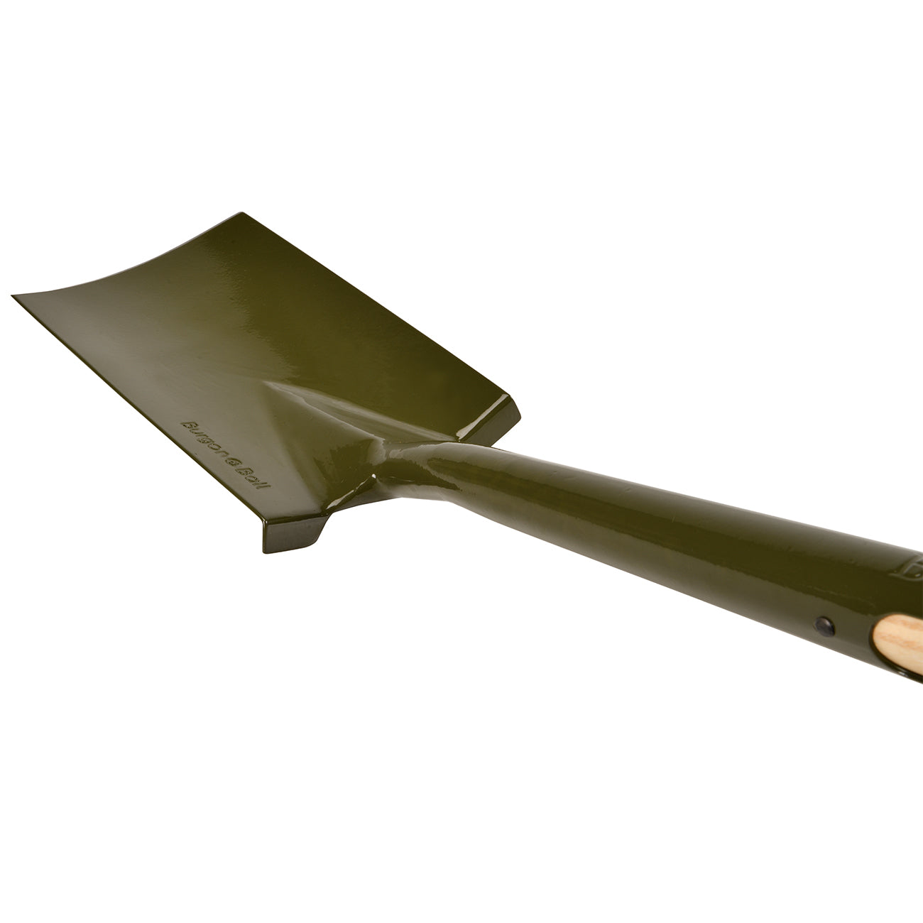 BoronGreen Border Spade - RHS Endorsed