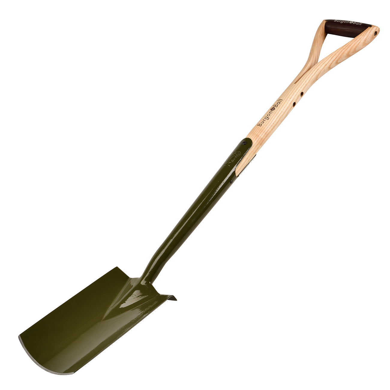BoronGreen Border Spade - RHS Endorsed
