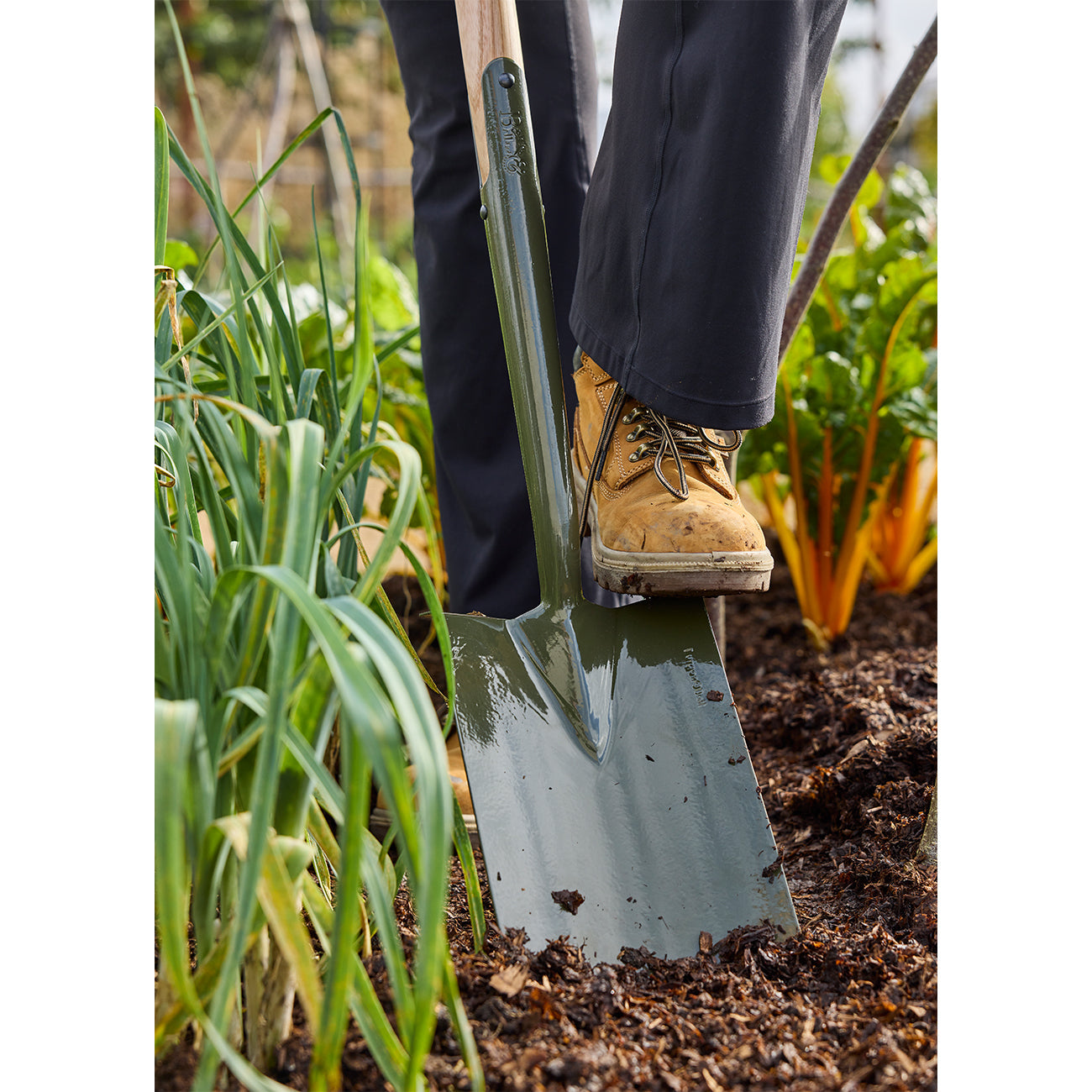 BoronGreen Digging Spade - RHS Endorsed