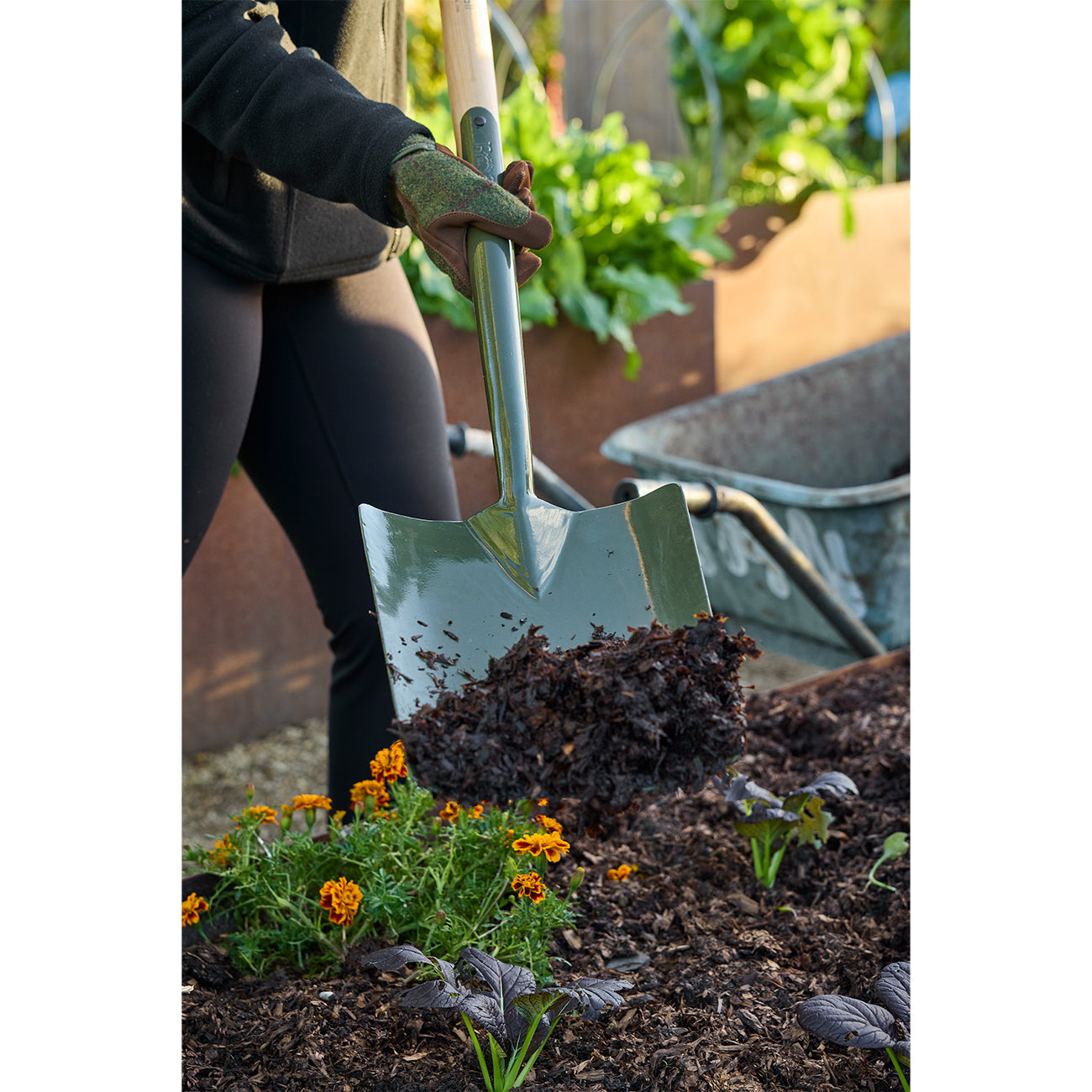 BoronGreen Square Shovel - RHS Endorsed