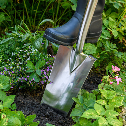Transplanting Spade - RHS Endorsed